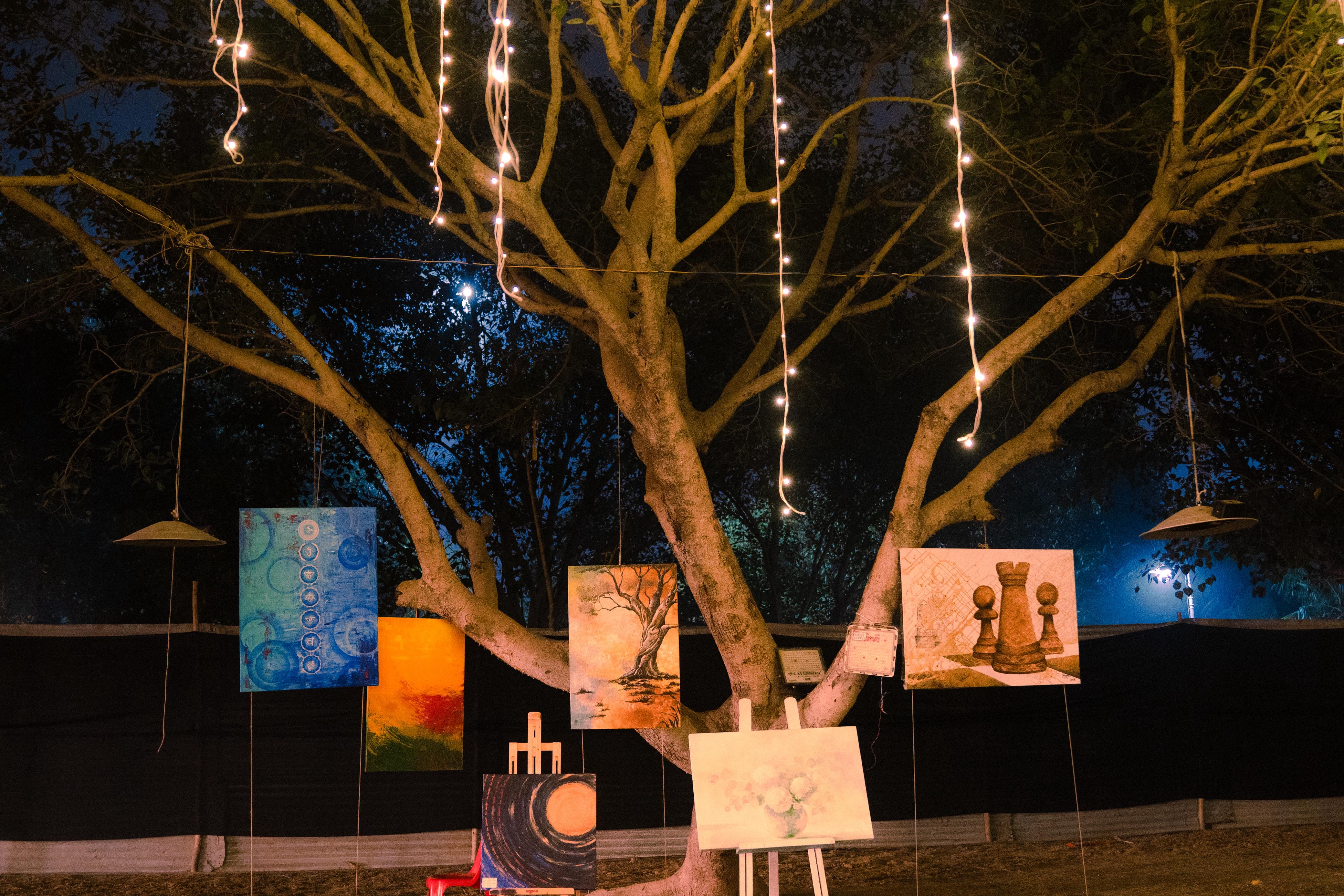 Healing / Wellness Zone